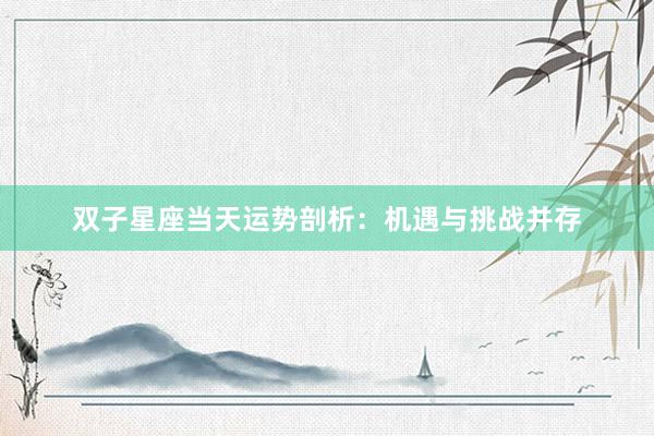 双子星座当天运势剖析：机遇与挑战并存