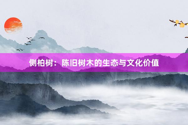 侧柏树：陈旧树木的生态与文化价值